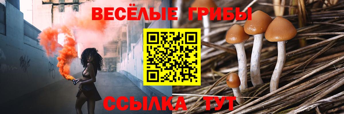 Мичуринск  Галлюциногенные грибы Magic Shrooms  Псилоцибиновые грибы мухоморы  Вход с VPN 